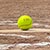 Softball Slappers